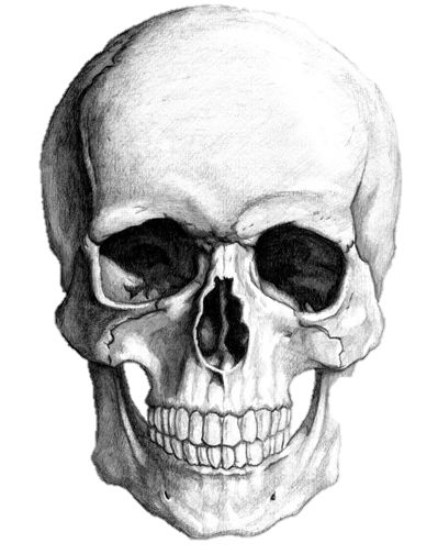 Cái Đầu Thất Lạc